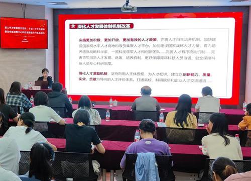 图片11